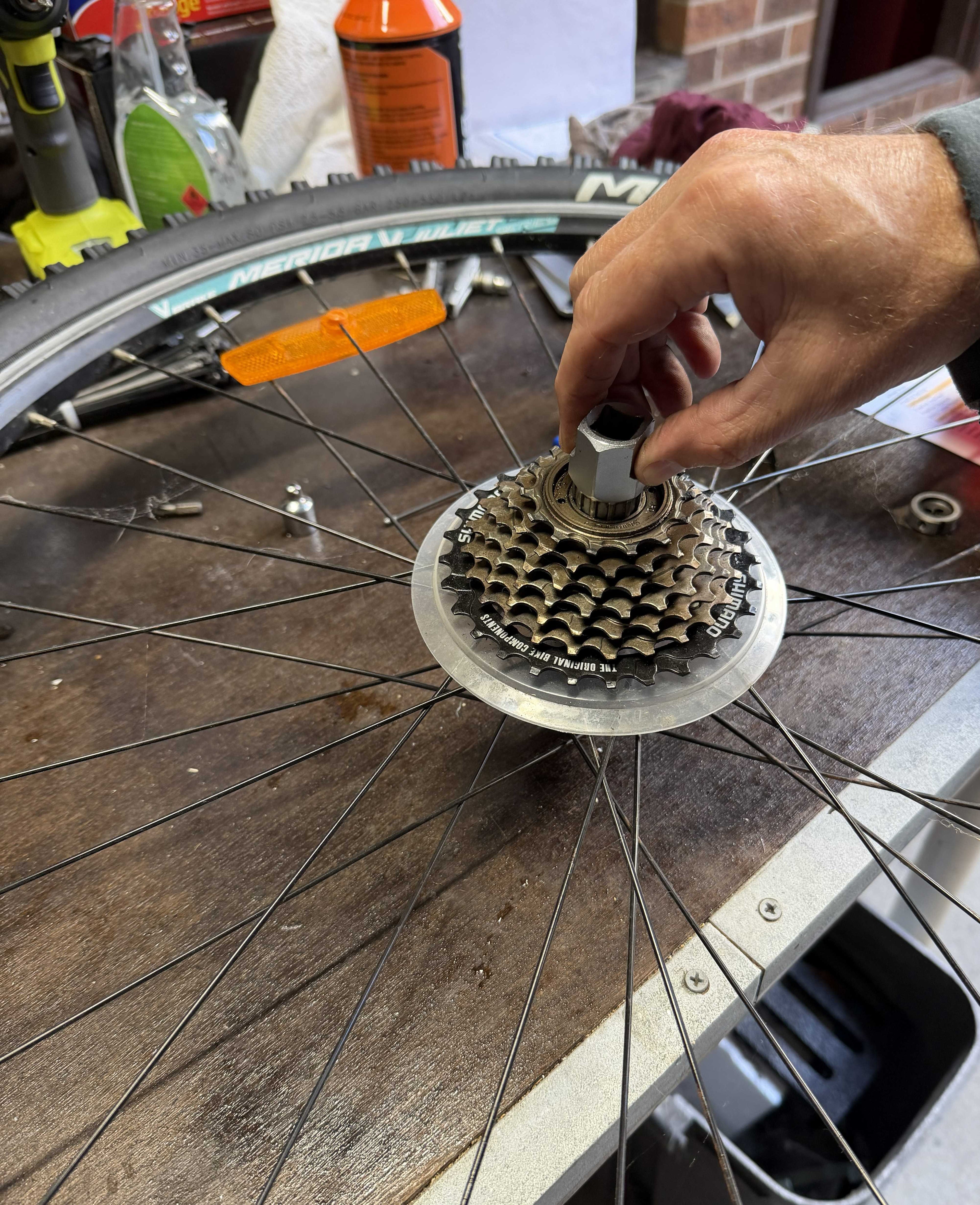 Freehub Service