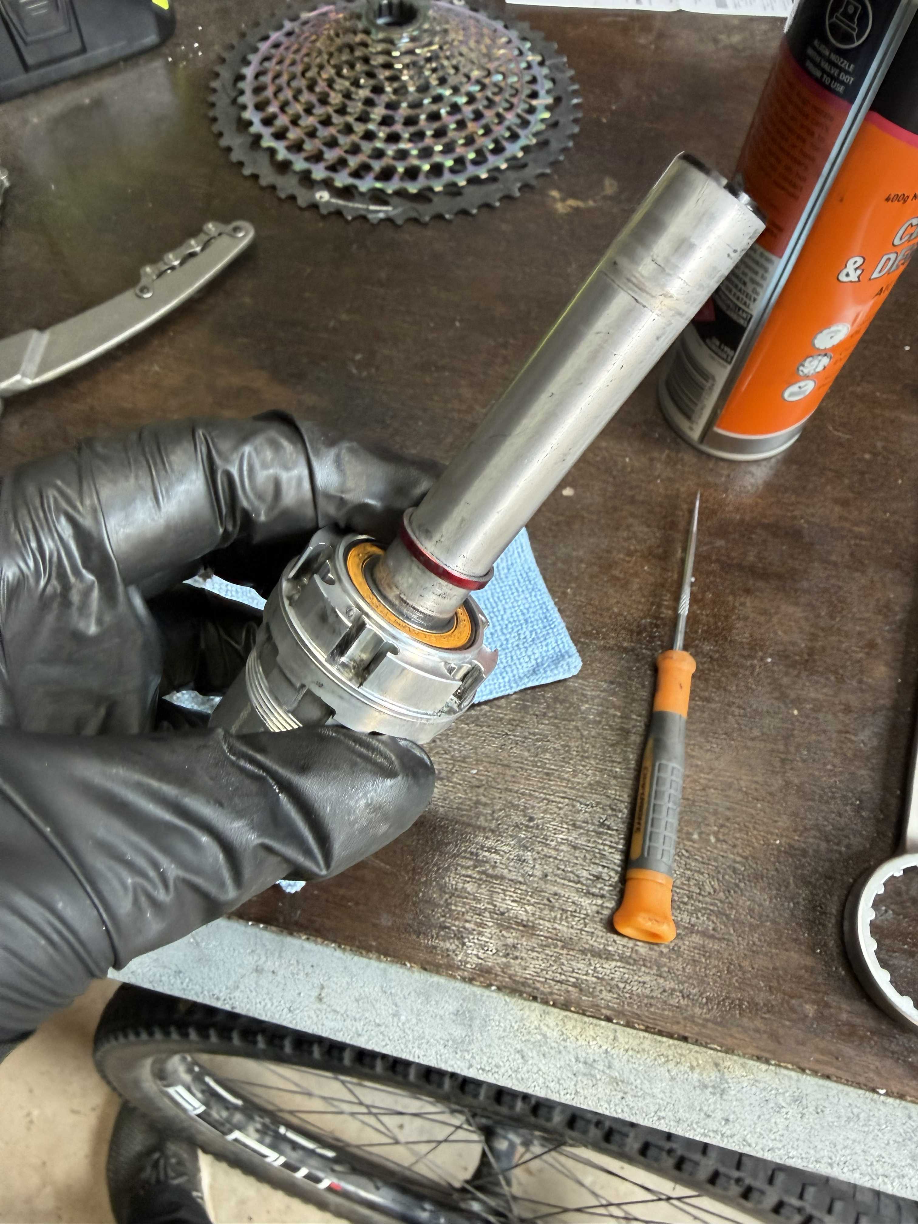 Freehub Overhaul